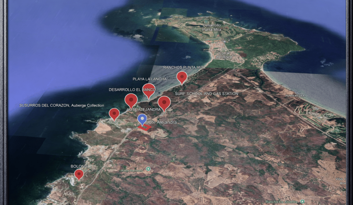 LOTE IA ALEJANDRA 01